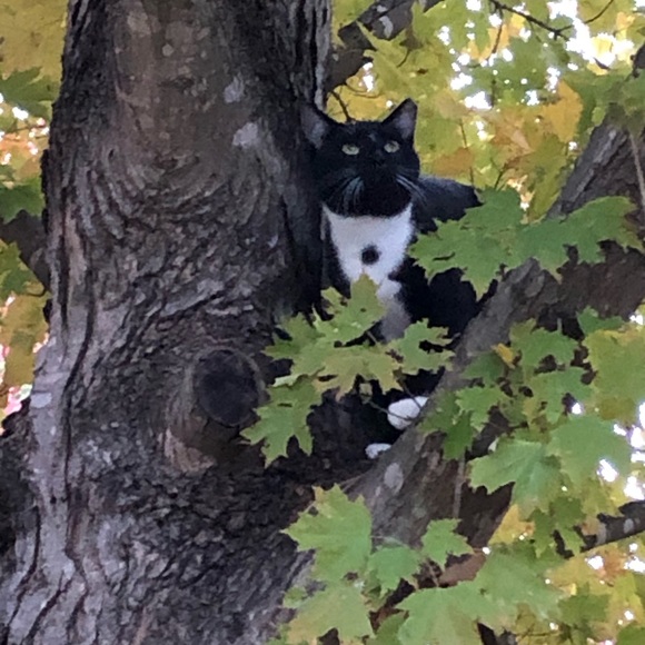 Meet your Posher, Gilda - Picture 7 of 10